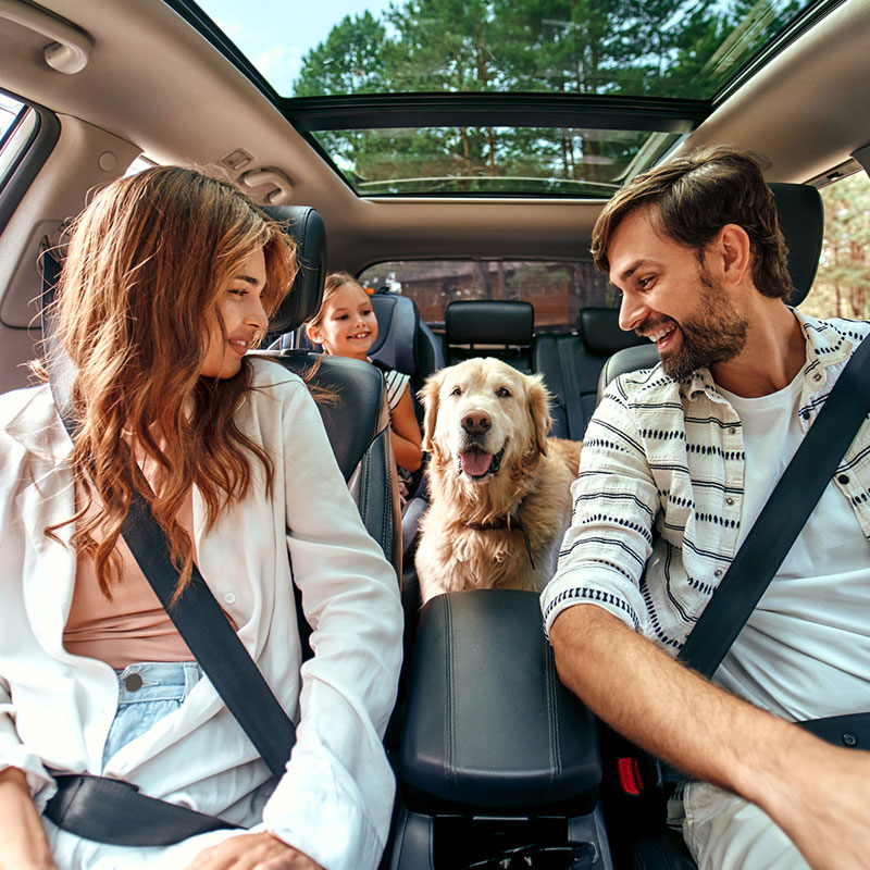 Complete Insurance Solutions