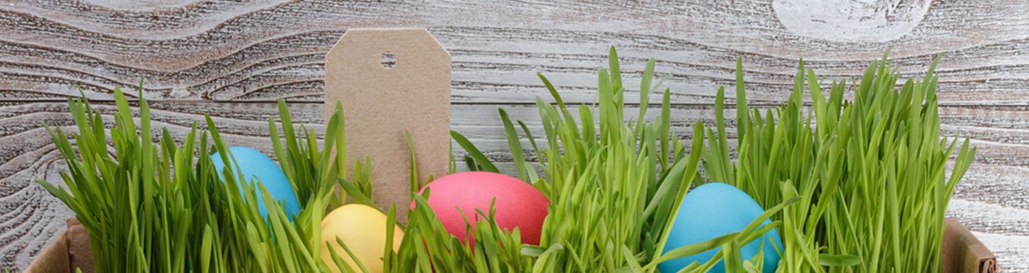 Featured Jacksonville Insurance